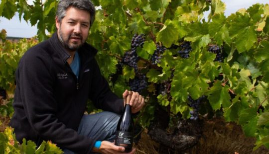 Fotografía del egresado Rafael Urrejola en un viñedo con un botella de vino en mano