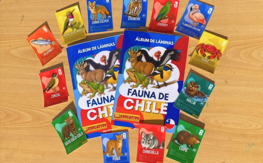 Foto de dos álbum de láminas con láminas de fauna nativa coloridas